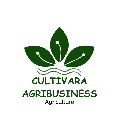 cultivaraagribusiness.ma